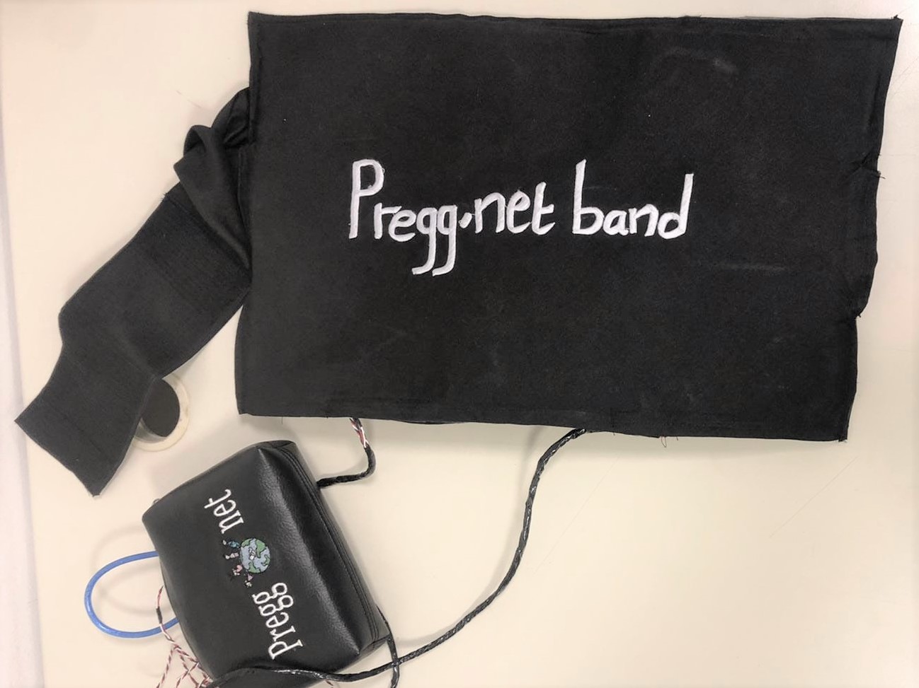 Pregg.net Band